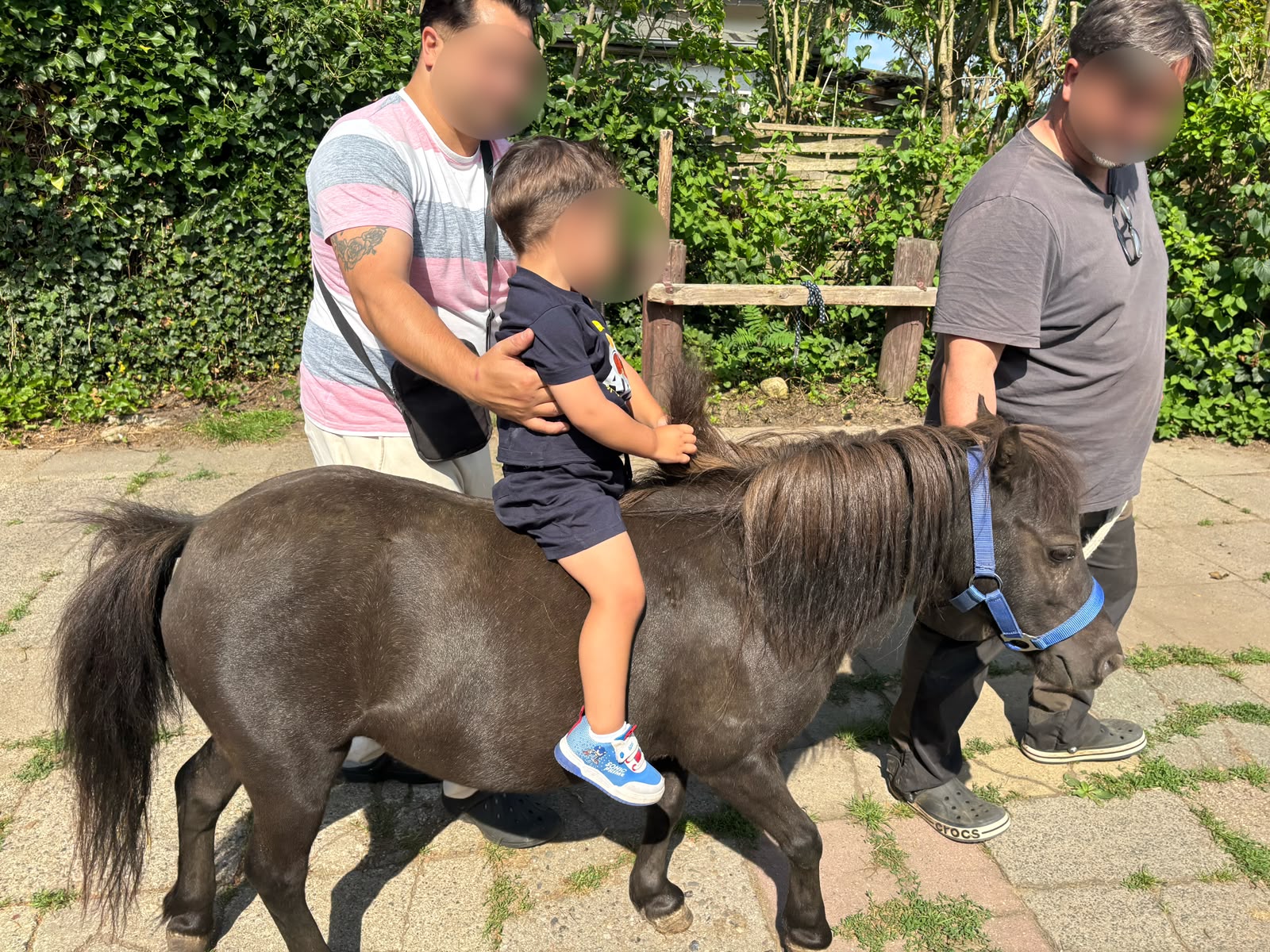 Ausflug der MuKi-Gruppe Osdorf zum Pferdehof - Bild 6